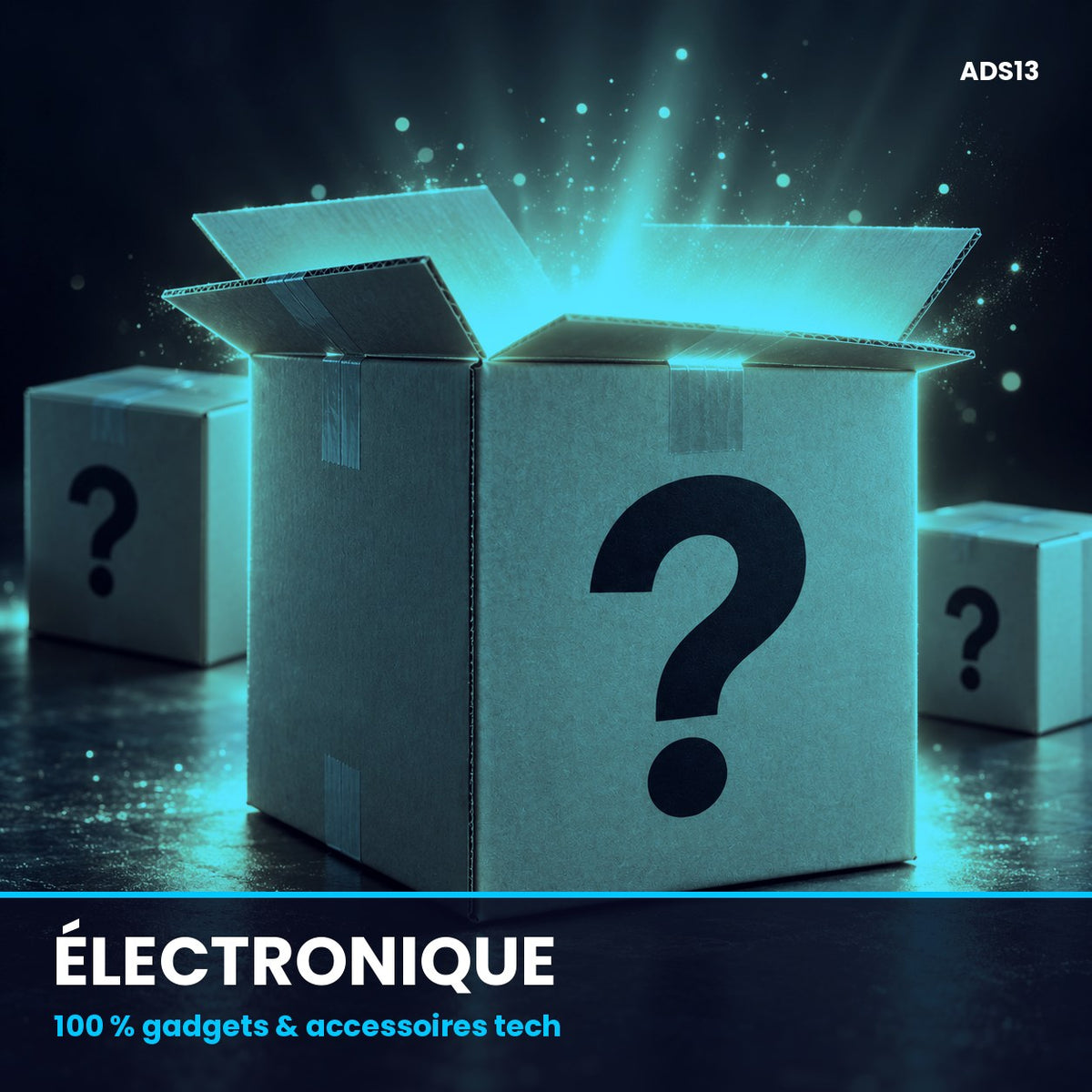 Colis Électronique